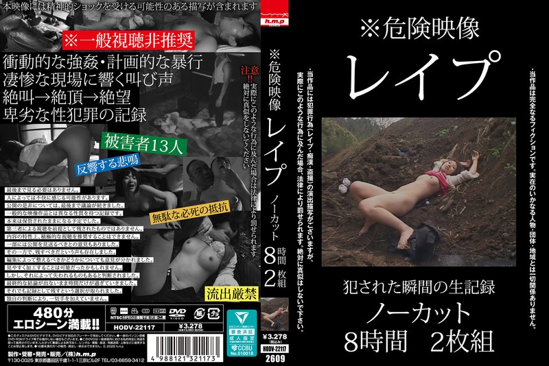 ※危険映像 レ●プ ノーカット8時間2枚組